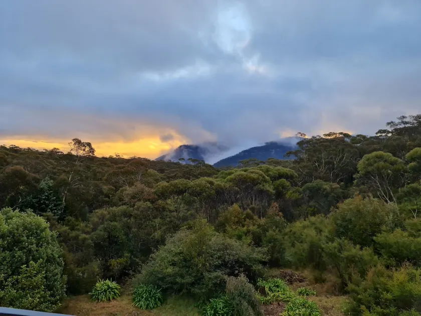 Magic in Medlow - Image 1