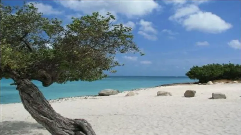 Lovely Resort on Eagle Beach - Image 1