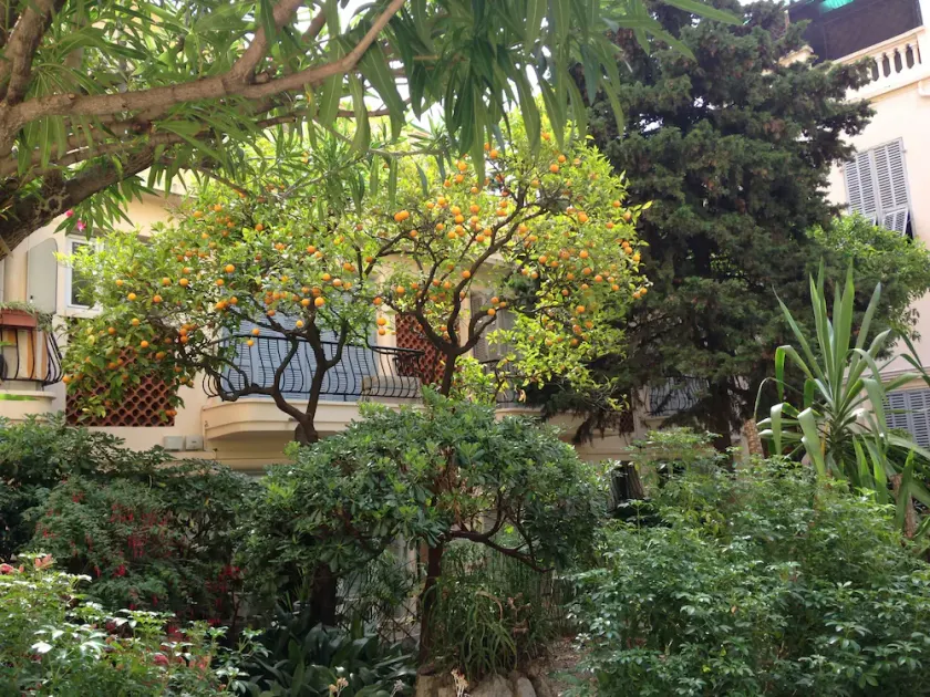 Large apartment Downtown, 2 minutes beach, very quiet garden, mountain views - Image 1