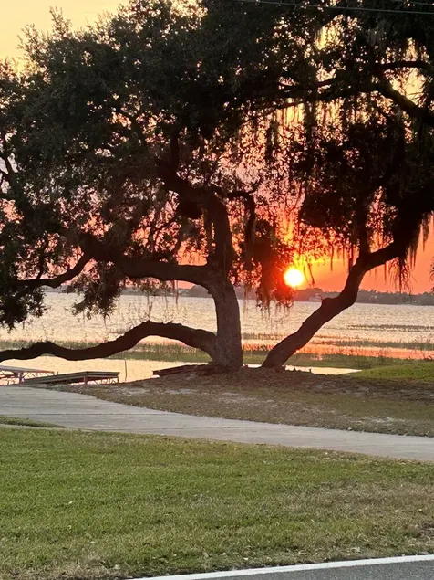 Lakeview Cottage Escape.  Close to BOK Tower Gardens, Legoland and Disney - Image 1