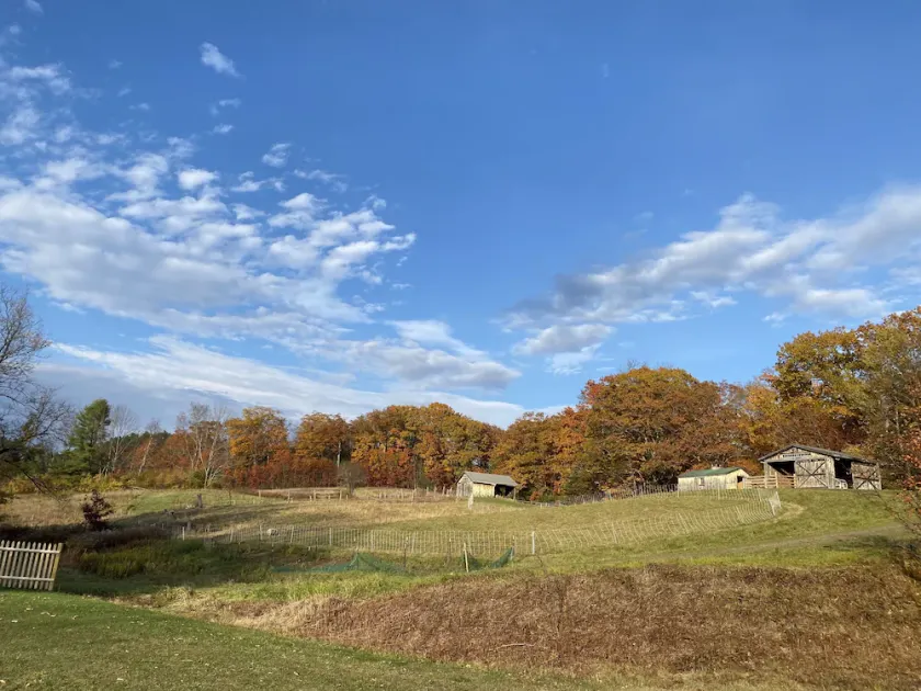 Resort on a Farm - Image 1