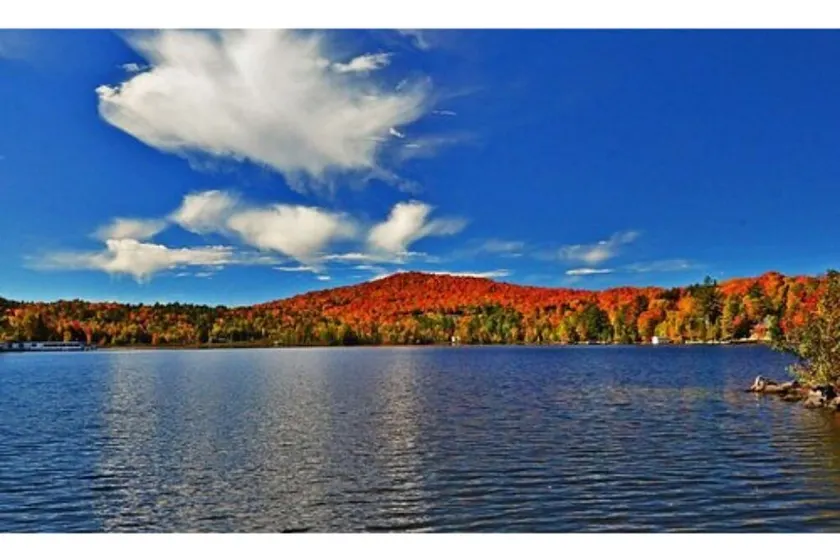 Waterfront - Image 1