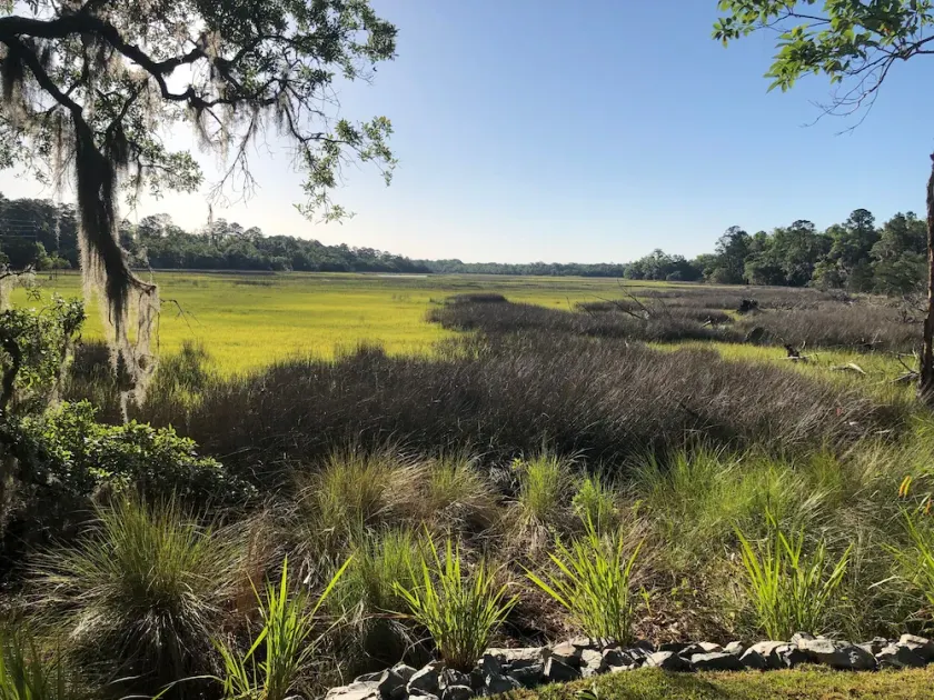  At Harris Neck & Shellman Bluff 0.5mi. Bird Nest Your perfect Nest & Marsh View - Image 1