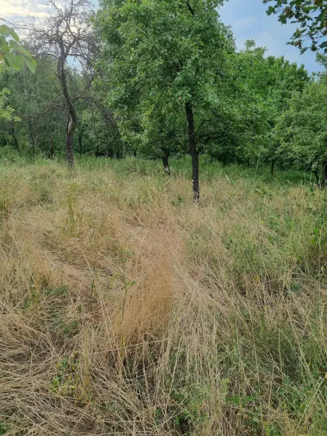 Ideal place to relax surrounded by nature - Image 1