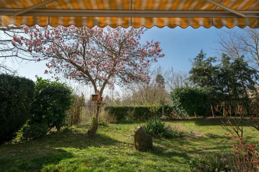 Apartment Oasis - Gemütliche Wohnung mit Garten - Image 1