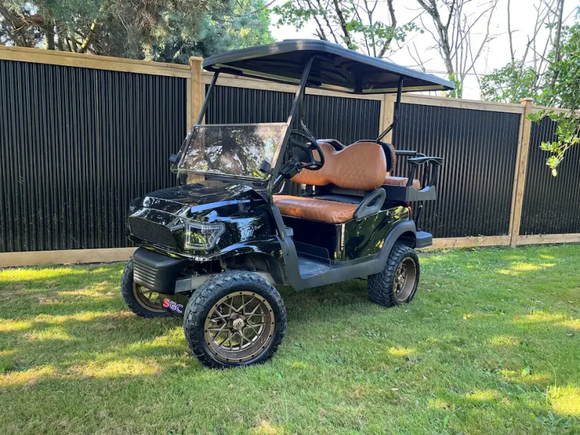 Lake and Mountain Views | Golf cart | Boat slip - Image 1