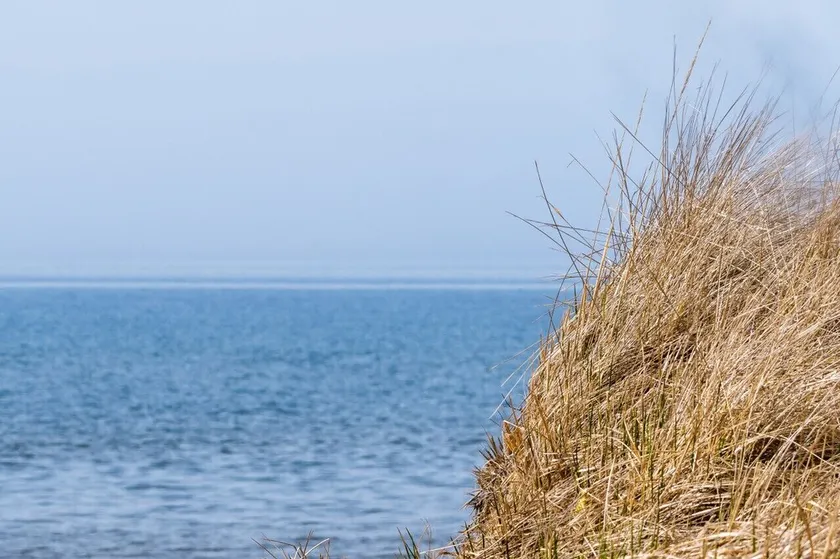 Beach, Beach, Beach - Cabaneaux 1 - Image 1