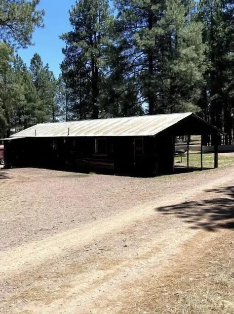 Comfy Cozy Cabin in the tall pines of Alpine AZ #1 - Image 1