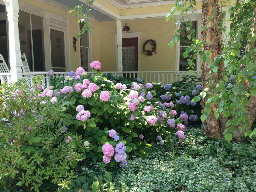 Historisches Haus im Queen Anne-Stil im Dorf Douglas / Saugatuck-Vintage Splendor - Image 1