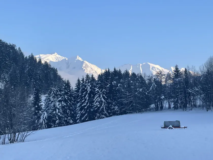 Family cottage, luxury, facing Montblanc, resorts 5 minutes - Image 1
