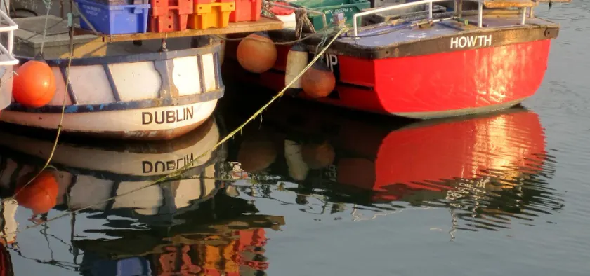 En stilfuld og sofistikeret ejendom centralt beliggende i Howth - Image 1