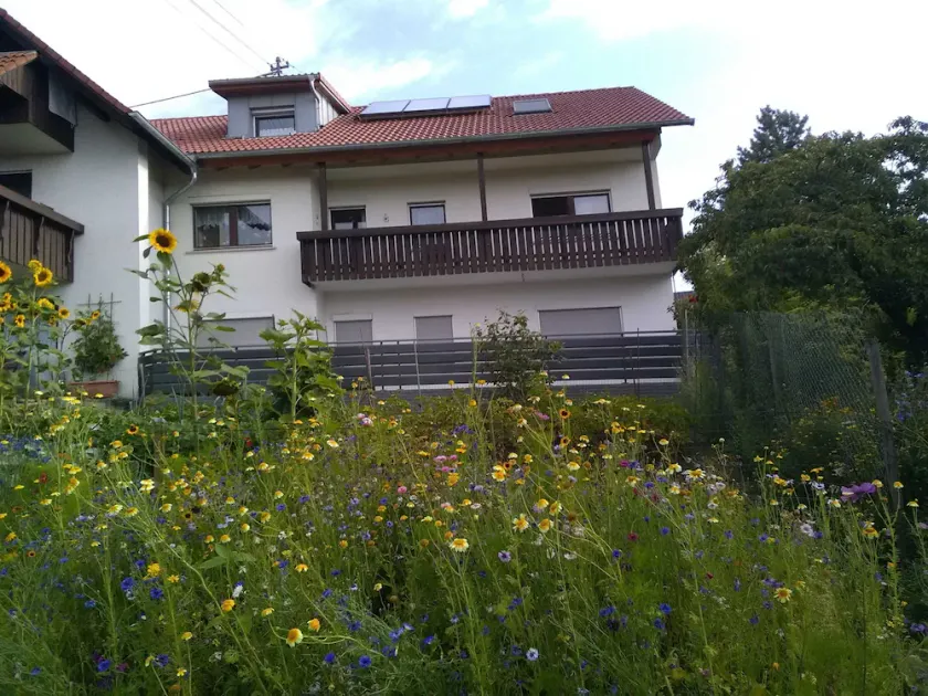 Haus Hinz - Image 1