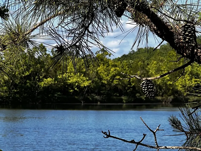 Lake Longbow-10 acre STOCKED lake, 80 acres, 4-wheeler/walking trails, swimming - Image 1
