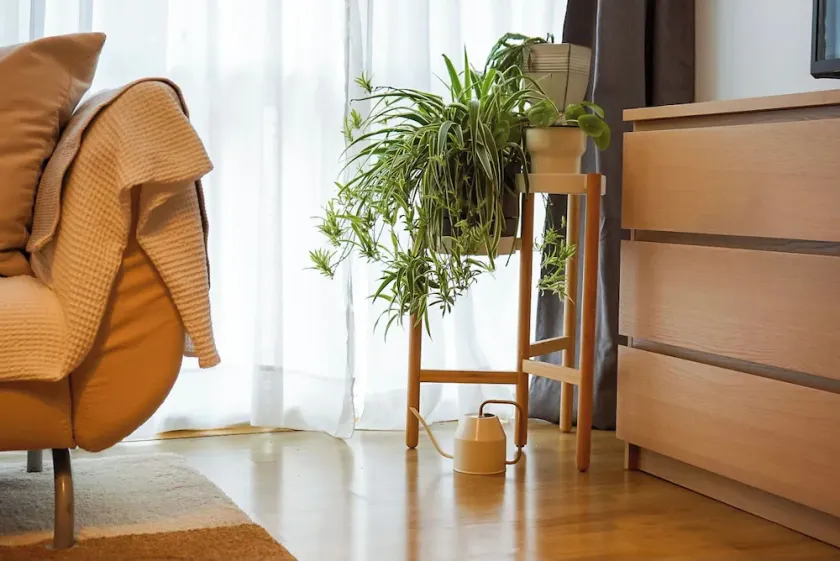Darling Street Residence - Self Check-In Only - Image 1
