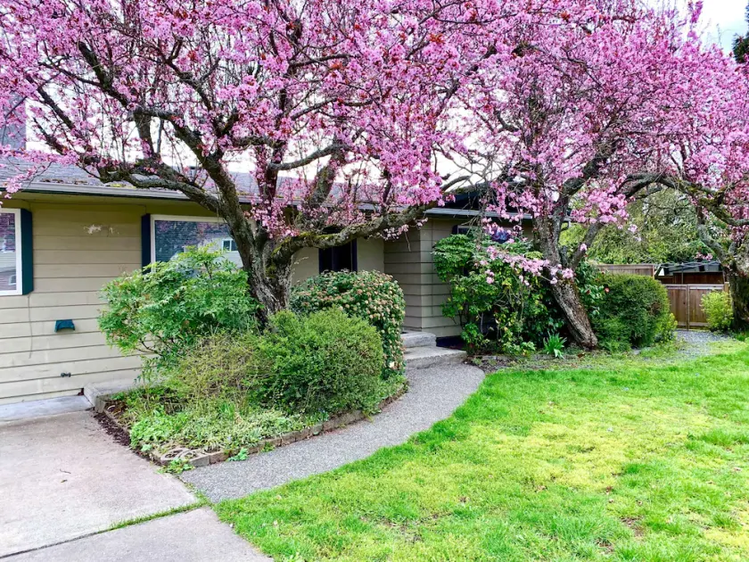 Impeccable Cleanliness Family & Pet Friendly Large Deck  House Near YYJ & Ferry - Image 1