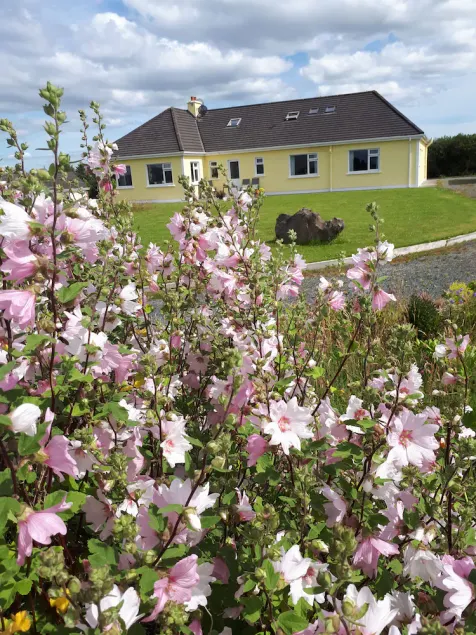 Tullaleagan Guesthouse - Image 1