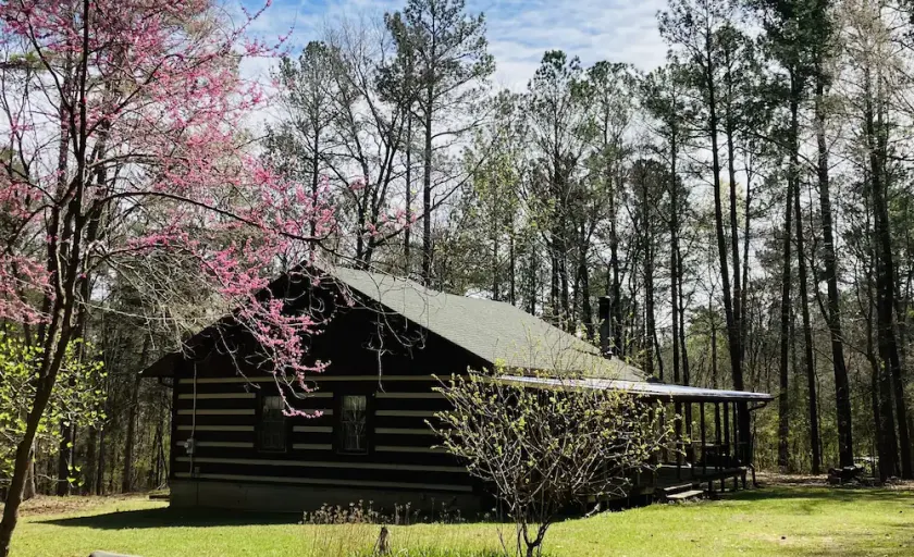 Well maintained cabin bordering national forest, close to Augusta, GA - -Masters - Image 1