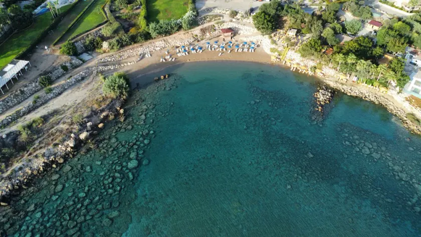 STAY Villa Palm - Image 1