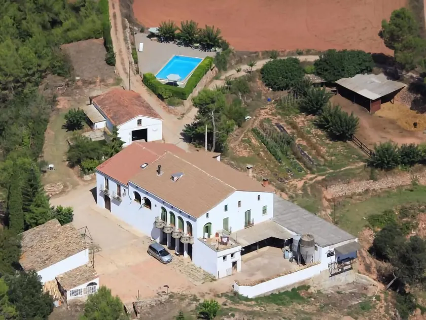 Agroturismo em uma agricultura e pecuária empresa. - Image 1