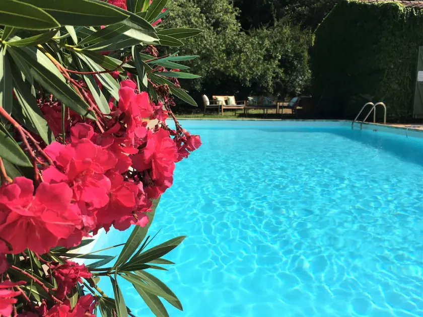 Coup de coeur ! Charme, nature et grande piscine - Image 1