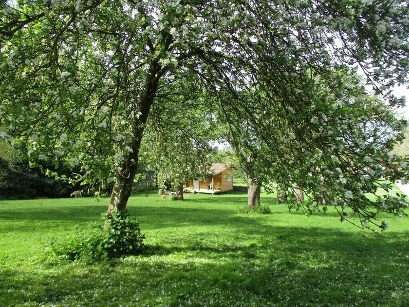 Cosy Lodge completely on your own in an acre of land. and will take 2 dogs - Image 1
