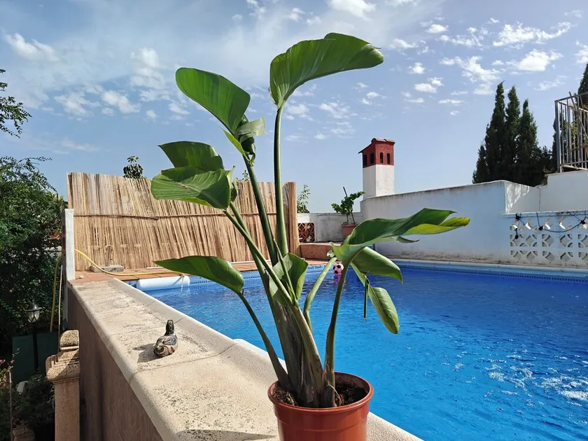 Nice 2 bedrooms villa.  private swimming pool.forest park - Image 1