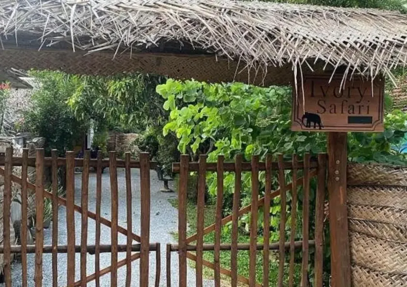 Ivory Safari House - Image 1