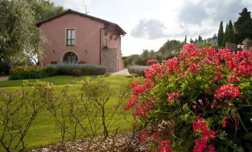 Tenuta Quadrifoglio - Salvia (4 + 2) - Image 1