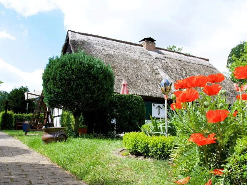 Holiday home in Ahlbeck am Haff - Image 1