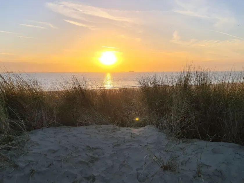 Holiday Home in Zeeland near the Beach - Image 1