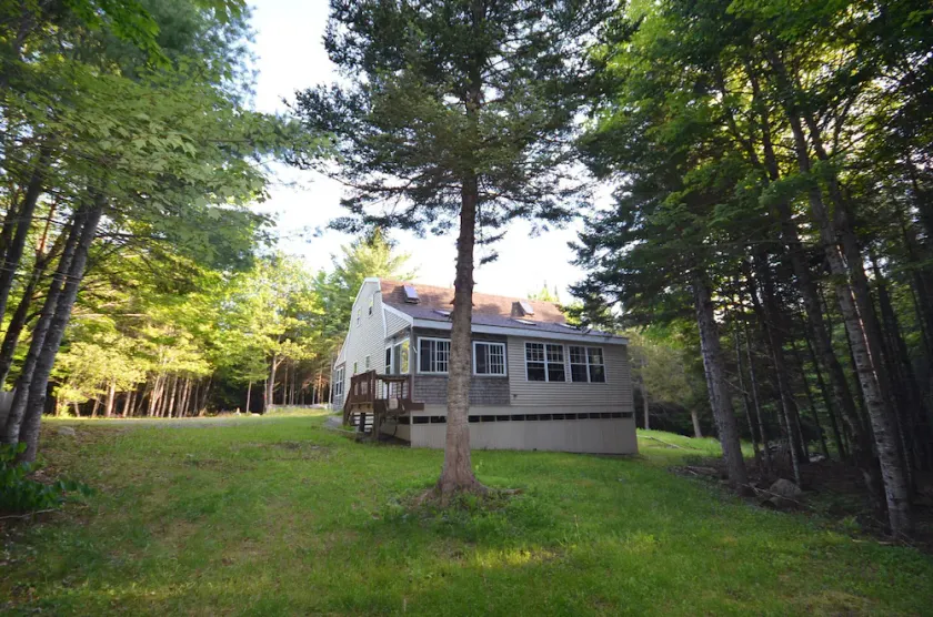 80 Acres Maine Woods - Image 1