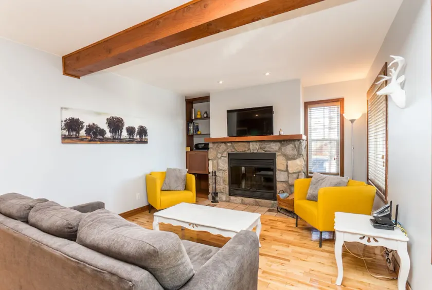 Luxury 2 bedrooms Condo with fireplace, a great  view, BBQ. - Image 1