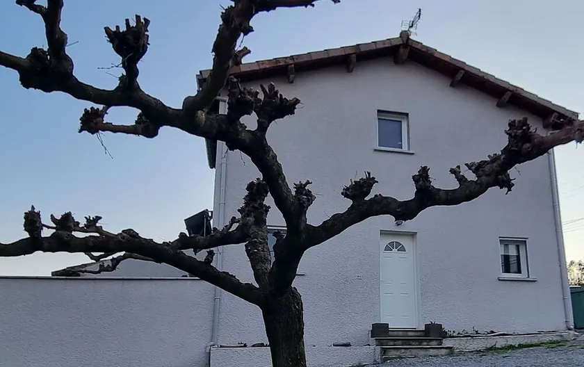 Chateau / Country House - Image 1