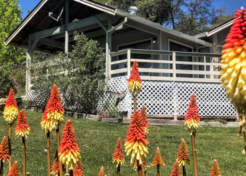 Hummingbird House - Scenic Peaceful Foothills Getaway only minutes from downtown - Image 1