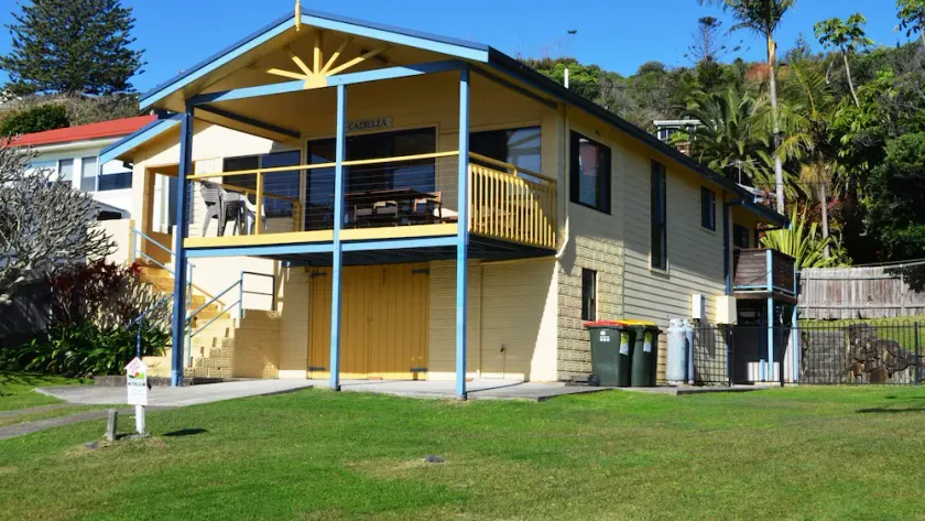 Careulea Crescent Head - Image 1