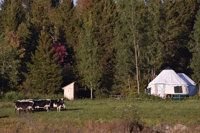 Escape to Nature: Cozy Yurt on a Heritage Farm with Trails, Pond, & Sauna - Image 1