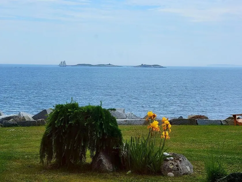 Candy Cove  Peace and seclusion by the Sea in Maine - Image 1