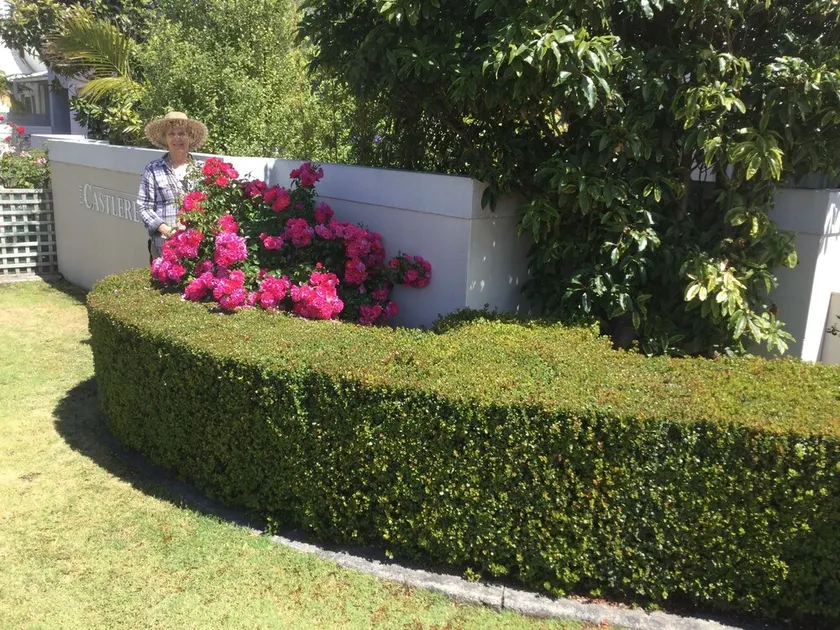 Castlereagh 7 Middleton Beach Albany - Image 1