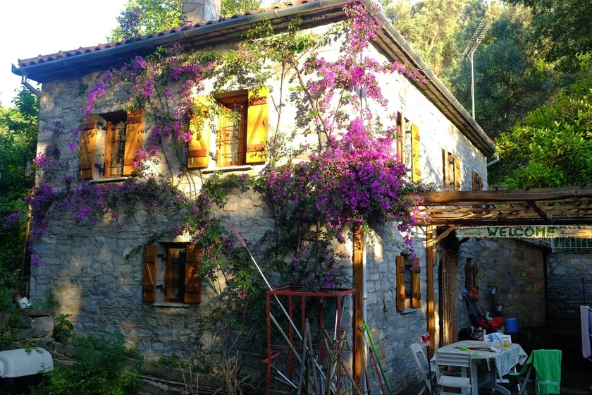Pelion stone house and gardens - Image 1