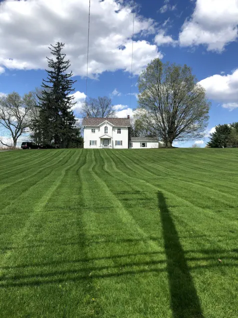 Spacious 5-bedroom w/ huge yard. Rural getaway! - Image 1