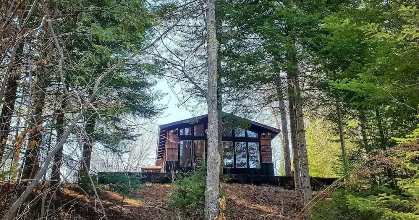 BLACK BEAR LODGE - Open Memorial Day Wochenende & 4. Juli 2019! - Image 1