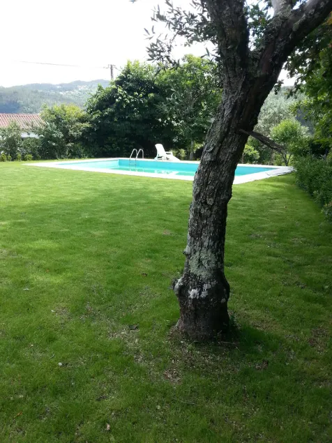 Gatao: Ferienhaus / Villa - Amarantetípica casa - Image 1
