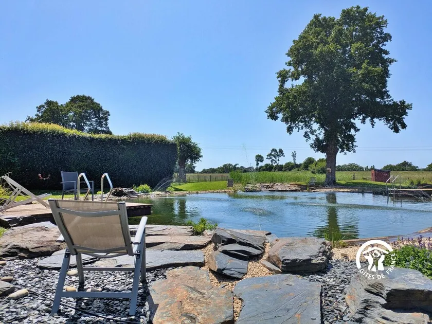 Charming family cottage with private garden and spa, fishing and ecological swimming, pets allowed - Image 1