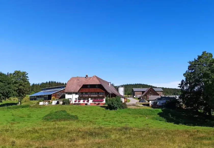 Sugar Farm Weideblick - Image 1