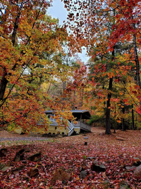 Dog friendly cabin. Peaceful nature getaway. - Image 1