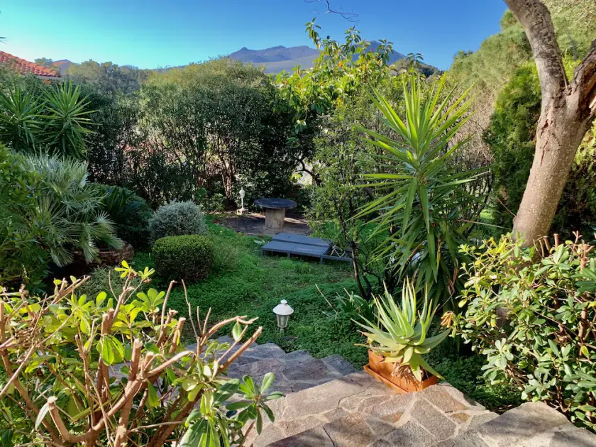 Villa Flamingo close to the beach - Image 1