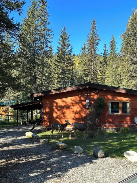 Riverside Bragg Creek Cabin nel cuore della città - Image 1