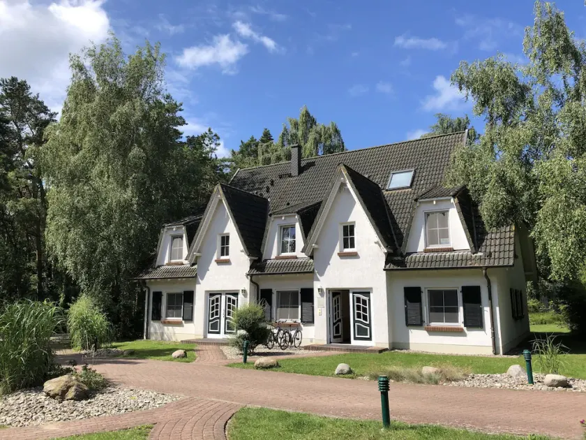 Vom Kiefernwald zum Strand - Image 1