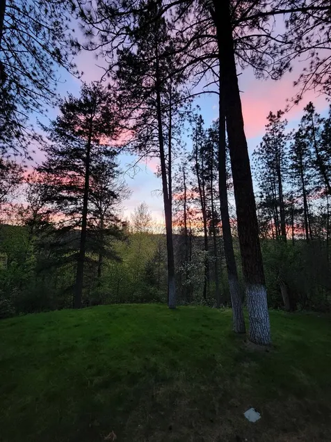 Serene Hideaway near nature and the Little Spokane River - Image 1
