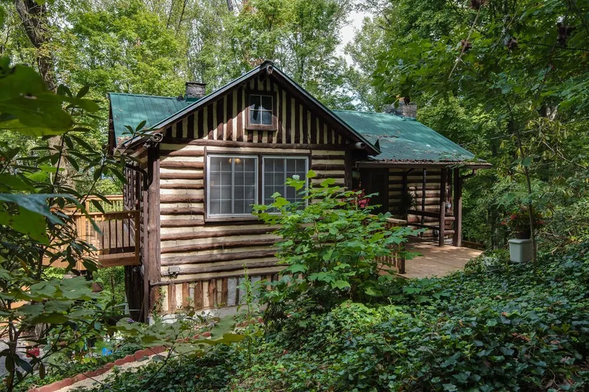 Cabine suisse du Vieux Monde nichée dans les bois - Image 1